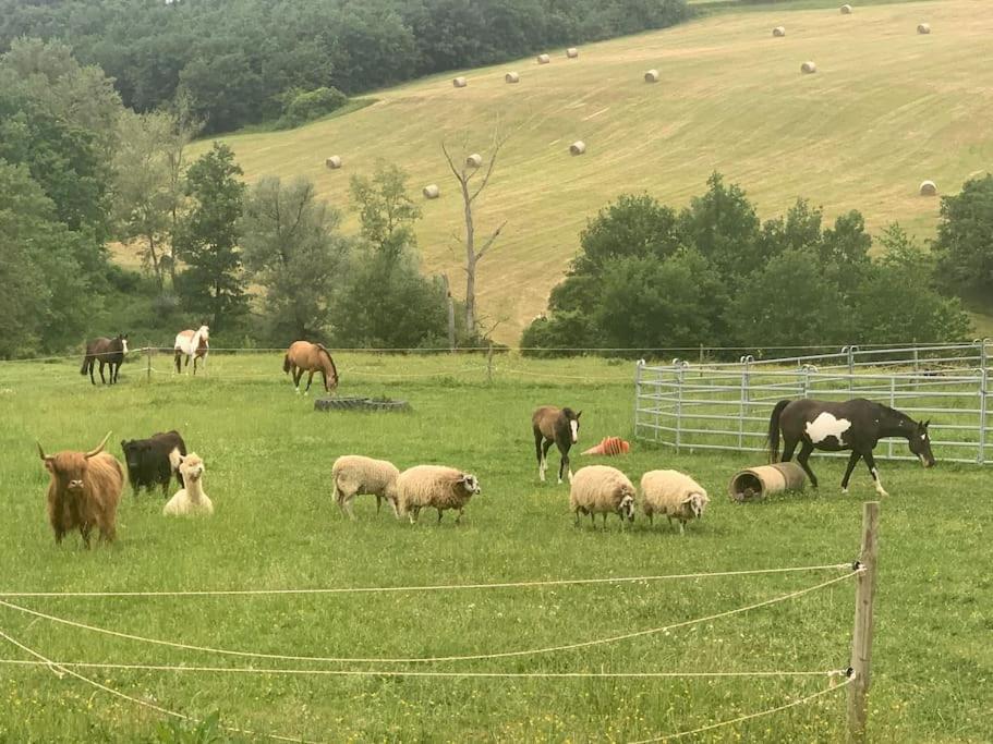 Gite A La Ferme Avec Jacuzzi Et Piscine Chauffee Saint-Felix-de-Tournegat Εξωτερικό φωτογραφία